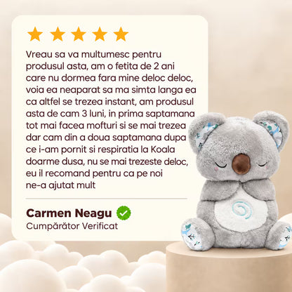 Koala Kairo - Plușul care respiră