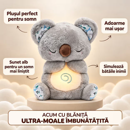 Koala Kairo - Plușul care respiră