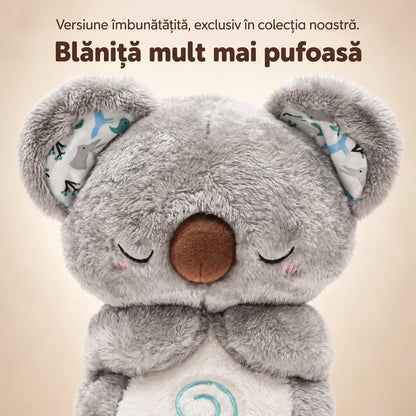 Koala Kairo - Plușul care respiră