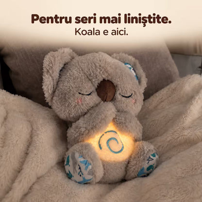 Koala Kairo - Plușul care respiră