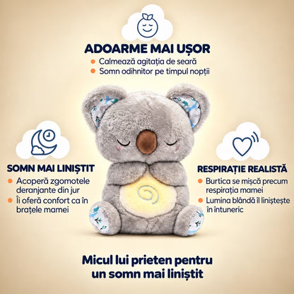 Koala Kairo - Plușul care respiră